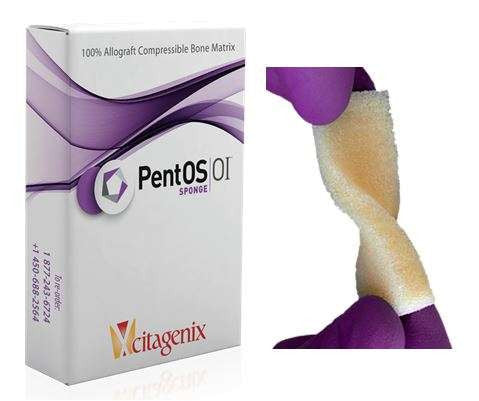 PentOS OI Sponge