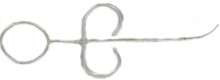 Application Syringe